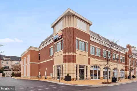 Exterior - 42712 Twinleaf Dr, Brambleton, VA 20148 photo 5 of 7