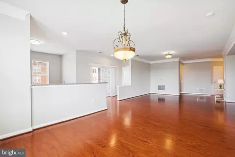 Other - 20570 Hope Spring Ter #304, Ashburn, VA 20147 photo 5 of 20