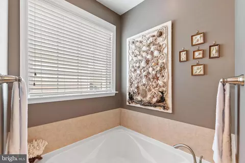 Bath - 20495 Crescent Pointe Pl, Ashburn, VA 20147 photo 3 of 4