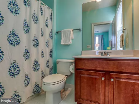 42706 Chisholm Dr, Broadlands, VA 20148 photo 31