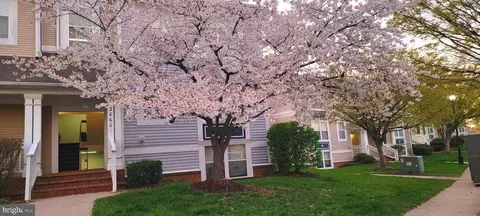 Exterior - 20601 Cornstalk Ter #202, Ashburn, VA 20147 photo 2 of 13