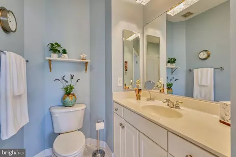 Bath - 22176 Windy Pine Ct, Broadlands, VA 20148 photo 5 of 7