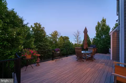 Exterior - 22176 Windy Pine Ct, Broadlands, VA 20148 photo 9 of 23