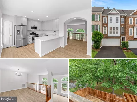 18419 Sierra Springs Sq, Leesburg, VA 20176