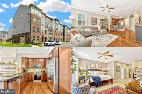 25315 Gray Poplar Ter, Aldie, VA 20105