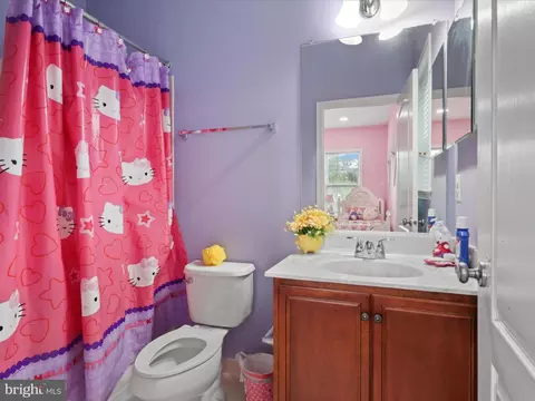 23284 Evergreen Ridge Dr, Ashburn, VA 20148 photo 41