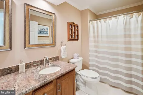 Bath - 21286 Meadowsweet Ct, Ashburn, VA 20147 photo 4 of 5