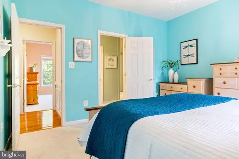 Bedroom - 22571 Forest Run Dr, Ashburn, VA 20148 photo 8 of 9