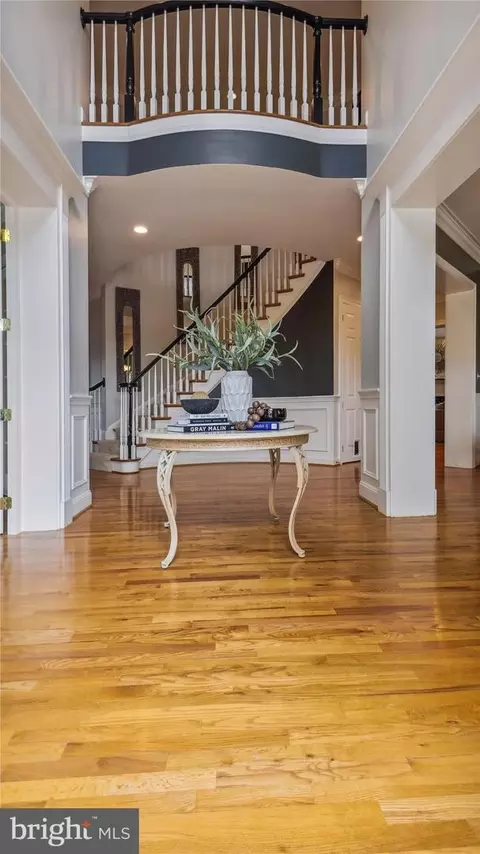 Entry Way - 41334 Raspberry Dr, Leesburg, VA 20176 photo 1 of 11