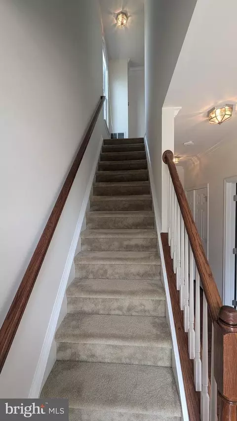 25152 Monteith Ter, Chantilly, VA 20152 photo 15