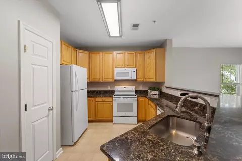 20238 Macglashan Ter, Ashburn, VA 20147 photo 6