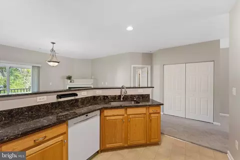 20238 Macglashan Ter, Ashburn, VA 20147 photo 7