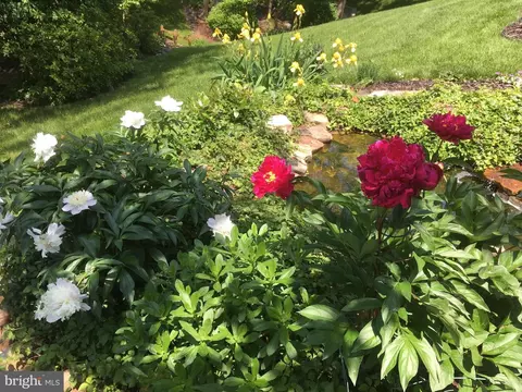 Other - 43735 Tolamac Dr, Ashburn, VA 20147 photo 15 of 43