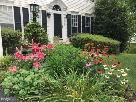 Exterior - 43735 Tolamac Dr, Ashburn, VA 20147 photo 17 of 31