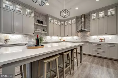 23610 Jayadev Ter, Ashburn, VA 20148 photo 18