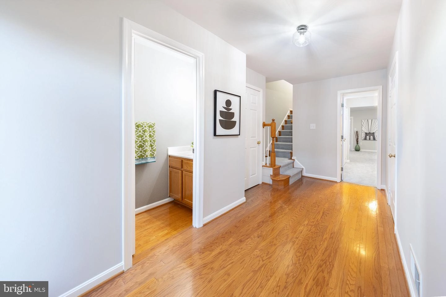 44110 Paget Ter, Ashburn, VA 20147 photo 3