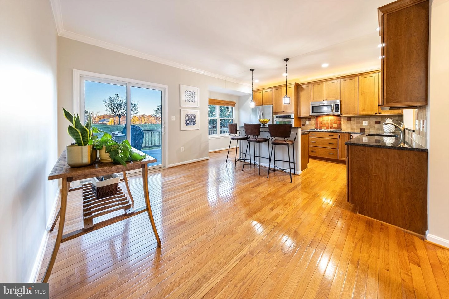 44110 Paget Ter, Ashburn, VA 20147 photo 6