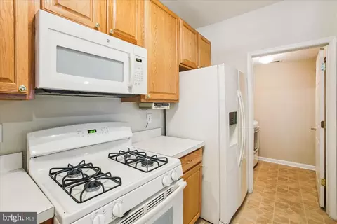 43111 Old Gallivan Ter, Ashburn, VA 20147 photo 15