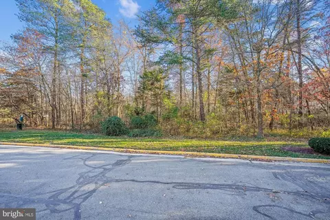 43111 Old Gallivan Ter, Ashburn, VA 20147 photo 4