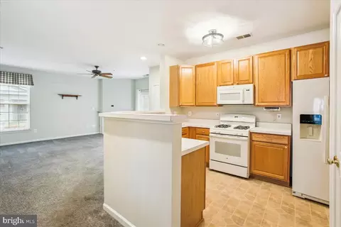 43111 Old Gallivan Ter, Ashburn, VA 20147 photo 17