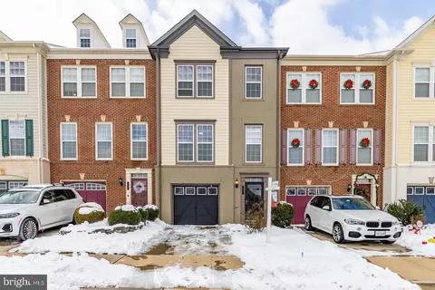 419 Virginia Wildflower Ter SE, Leesburg, VA 20175