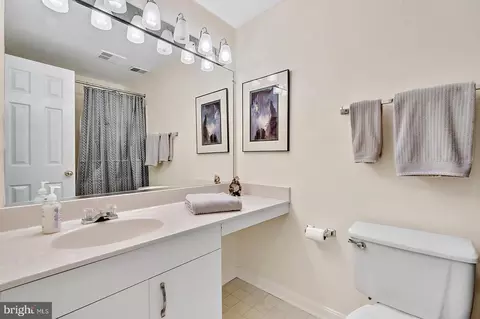 Bath - 21170 Wildflower Sq, Ashburn, VA 20147 photo 11 of 12