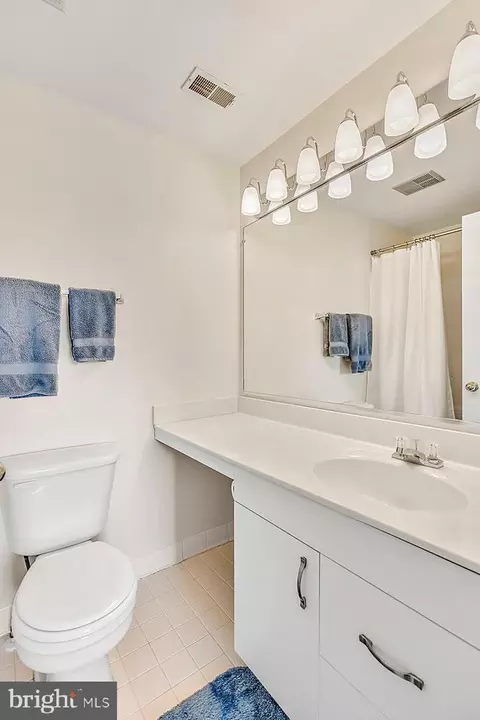 Bath - 21170 Wildflower Sq, Ashburn, VA 20147 photo 9 of 12