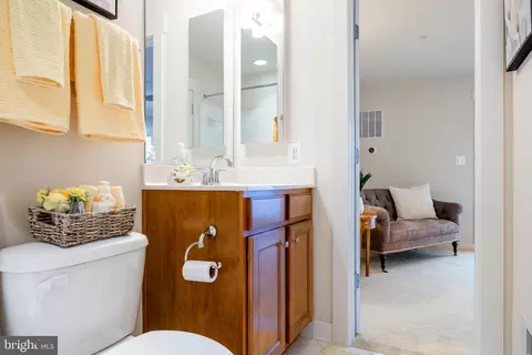 42407 Pale Iris Ter, Brambleton, VA 20148 photo 43