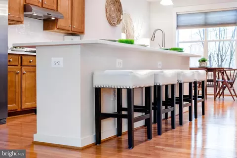 42407 Pale Iris Ter, Brambleton, VA 20148 photo 11