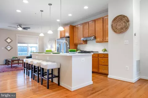 42407 Pale Iris Ter, Brambleton, VA 20148 photo 15