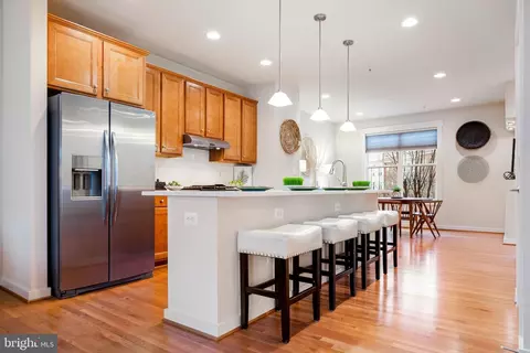 42407 Pale Iris Ter, Brambleton, VA 20148 photo 10
