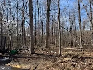Lake Dr, Sterling, VA 20164
