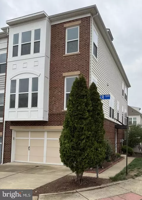 42682 Redeemer Ter, Brambleton, VA 20148 photo 3