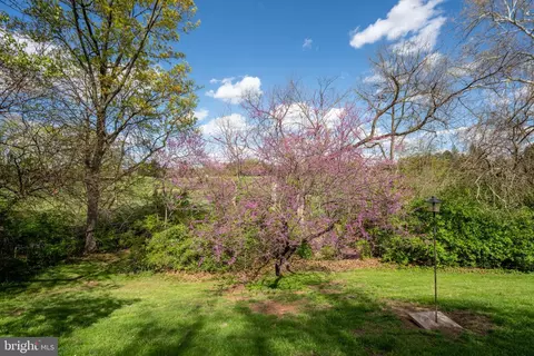 Other - 506 W Maple Ave, Sterling, VA 20164 photo 10 of 11