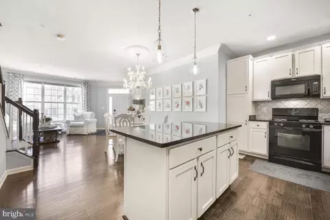 43037 Clarks Mill Ter, Ashburn, VA 20148 photo 13