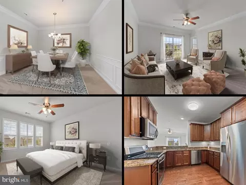 20640 Hope Spring Ter #203, Ashburn, VA 20147