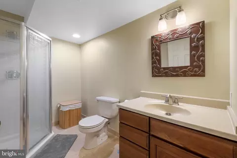 46494 Primula Ct, Sterling, VA 20165 photo 38