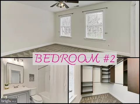 Bedroom - 23219 Christopher Thomas Ln, Brambleton, VA 20148 photo 1 of 3