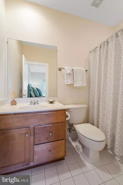 Bath - 18752 Upper Meadow Dr, Leesburg, VA 20176 photo 8 of 9