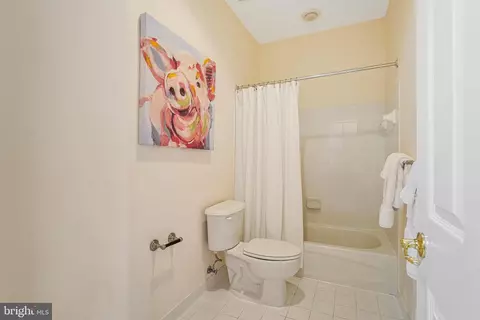 Bath - 18752 Upper Meadow Dr, Leesburg, VA 20176 photo 7 of 9