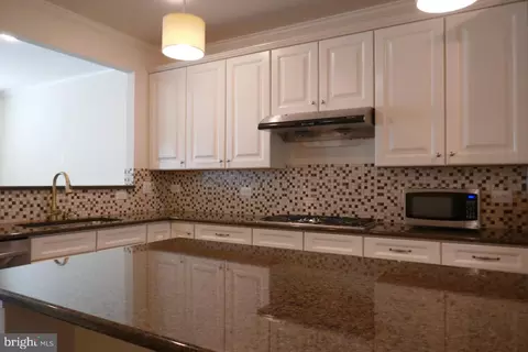 44132 Puma Sq, Chantilly, VA 20152 photo 10