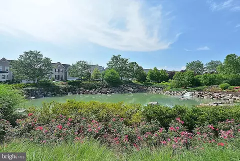 42751 Cushing Ter, Ashburn, VA 20148 photo 32