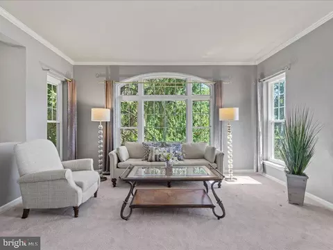 Living - 43036 Hedgeapple Ct, Ashburn, VA 20147 photo 5 of 6