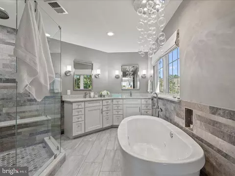 Bath - 43036 Hedgeapple Ct, Ashburn, VA 20147 photo 1 of 9