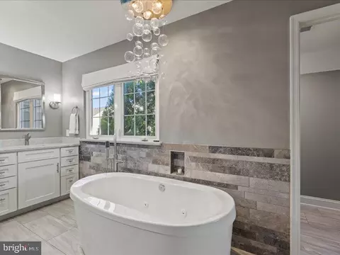 Bath - 43036 Hedgeapple Ct, Ashburn, VA 20147 photo 5 of 9