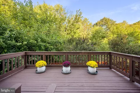 21113 Crocus Ter, Ashburn, VA 20147 photo 11
