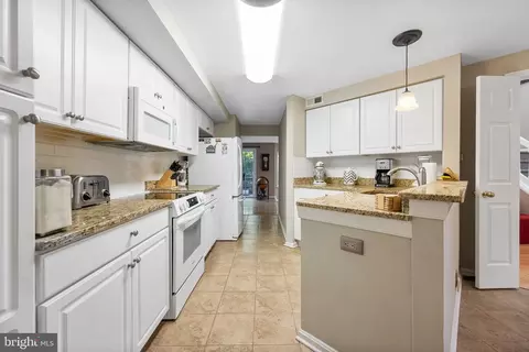 21113 Crocus Ter, Ashburn, VA 20147 photo 19