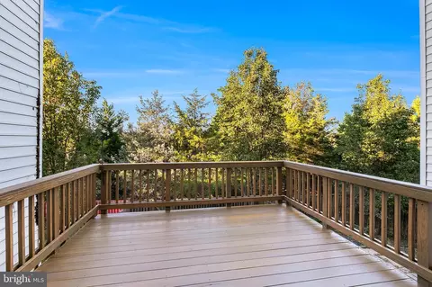43700 Hamilton Chapel Ter, Ashburn, VA 20148 photo 16