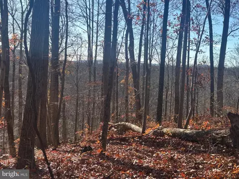 38196 Lime Kiln Rd, Middleburg, VA 20117