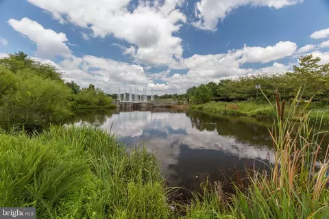 View/Area - 25121 Monteith Ter, Chantilly, VA 20152 photo 3 of 3